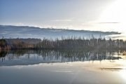 IMG_20250330_163827_087.jpg