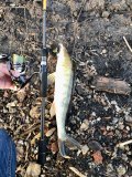 IMG_4627.jpeg