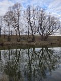 20250330_171710.jpg