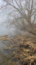 IMG_20250329_092123_363.jpg
