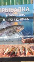 IMG-20250331-WA0027.jpg