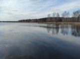 IMG_20250331_130543.jpg