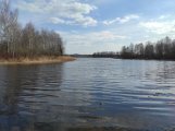 IMG_20250331_133349.jpg