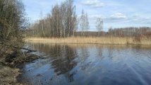 PANO_20250331_133414.jpg
