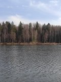 IMG_20250331_145932.jpg