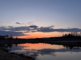 IMG_1869.jpeg