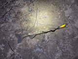 IMG_6690.jpeg