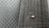 IMG_0304.jpeg