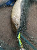 IMG_20250401_115417_884.jpg