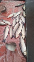 IMG-20250401-WA0021.jpg