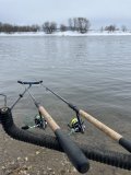 IMG_3587.jpeg