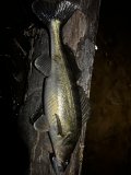IMG_2666.JPEG