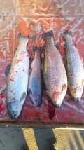 IMG-20250402-WA0044.jpg