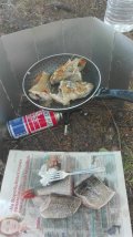 IMG_20220625_130740.jpg