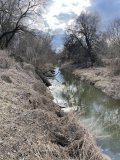 IMG_9078.jpeg