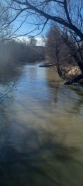 20250404_084420.jpg