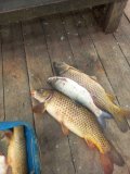 IMG-20250404-WA0009.jpg