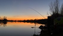 IMG_0437.jpeg