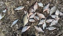 IMG_0444.jpeg