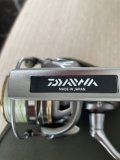 IMG_3185.jpeg