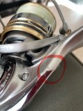 IMG_3184.jpeg