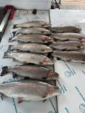 IMG_3207.jpeg