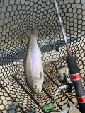 IMG_3187.jpeg