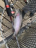 IMG_3189.jpeg