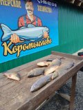 Изображение хрюхрюp 2025-04-07 в 17.00.37_cf45ed76.jpg