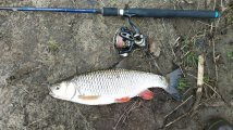 IMG_20250407_194057.jpg