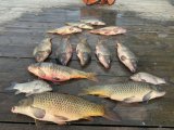IMG_7799.jpeg
