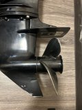 IMG_3091.jpeg