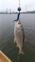 IMG_20250410_080258.jpg