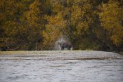 IMG_0018.JPG