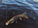 IMG_20250408_171228.jpg