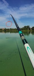 IMG_20250411_204042.jpg