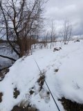 20250411_114749.jpg