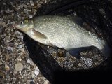 IMG_20250405_213633.jpg
