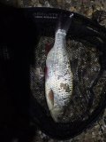 IMG_20250405_233042.jpg