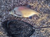 IMG_20250406_082024.jpg