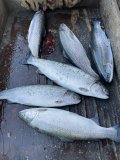 IMG_9129.jpeg