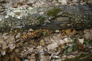 IMG_6365 min.jpg