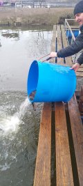 IMG-20250413-WA0004.jpg