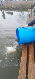 IMG-20250413-WA0002.jpg