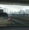 IMG_20250413_110801.jpg