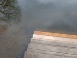 IMG_20250413_114542.jpg