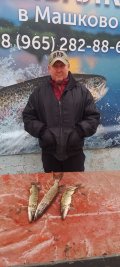 IMG-20250413-WA0024.jpg