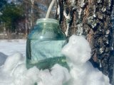 IMG_9232.jpeg