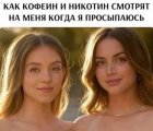 8828356_original.jpg