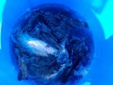 IMG_20250414_114632_027.jpg